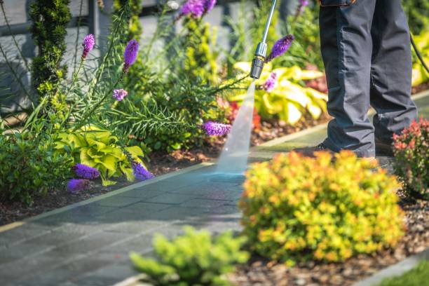 Reliable Lake Elmo, MN Pressure Washing Services Solutions